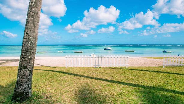 Una playa con valla blanca, una palmera y barcos en el agua.