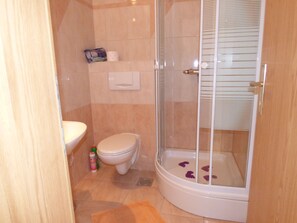 Regadera, amenidades de baño gratuitas, secadora de cabello, toallas 