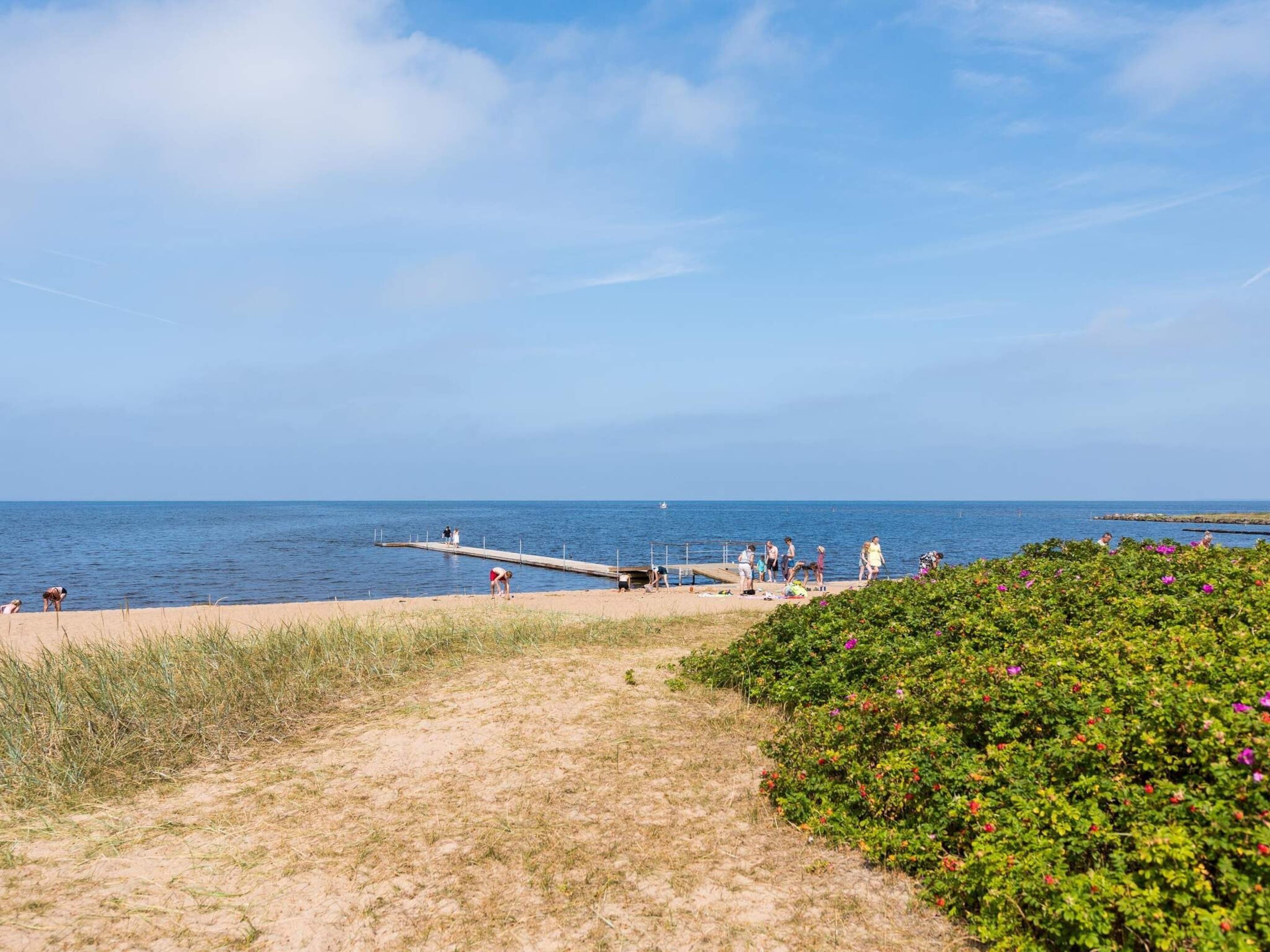 House | Beach