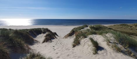 House | Beach