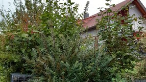 Una valla metálica con un letrero que dice 'TERIENWOHNUNG' y una casa con techo rojo al fondo.