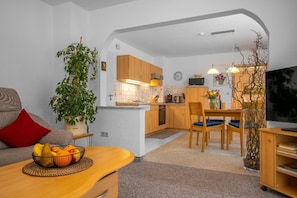 Apartment | Living area | 30-inch flat-screen TV with cable channels, TV