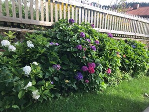 Jardin