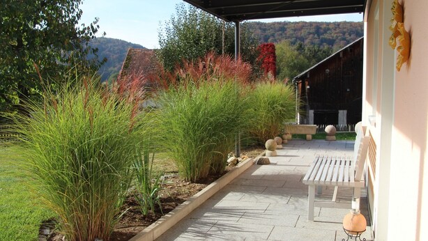 A covered patio area with a bench and potted plants. - Pension & Ferienwohnung Breitmoser (Riedenburg)