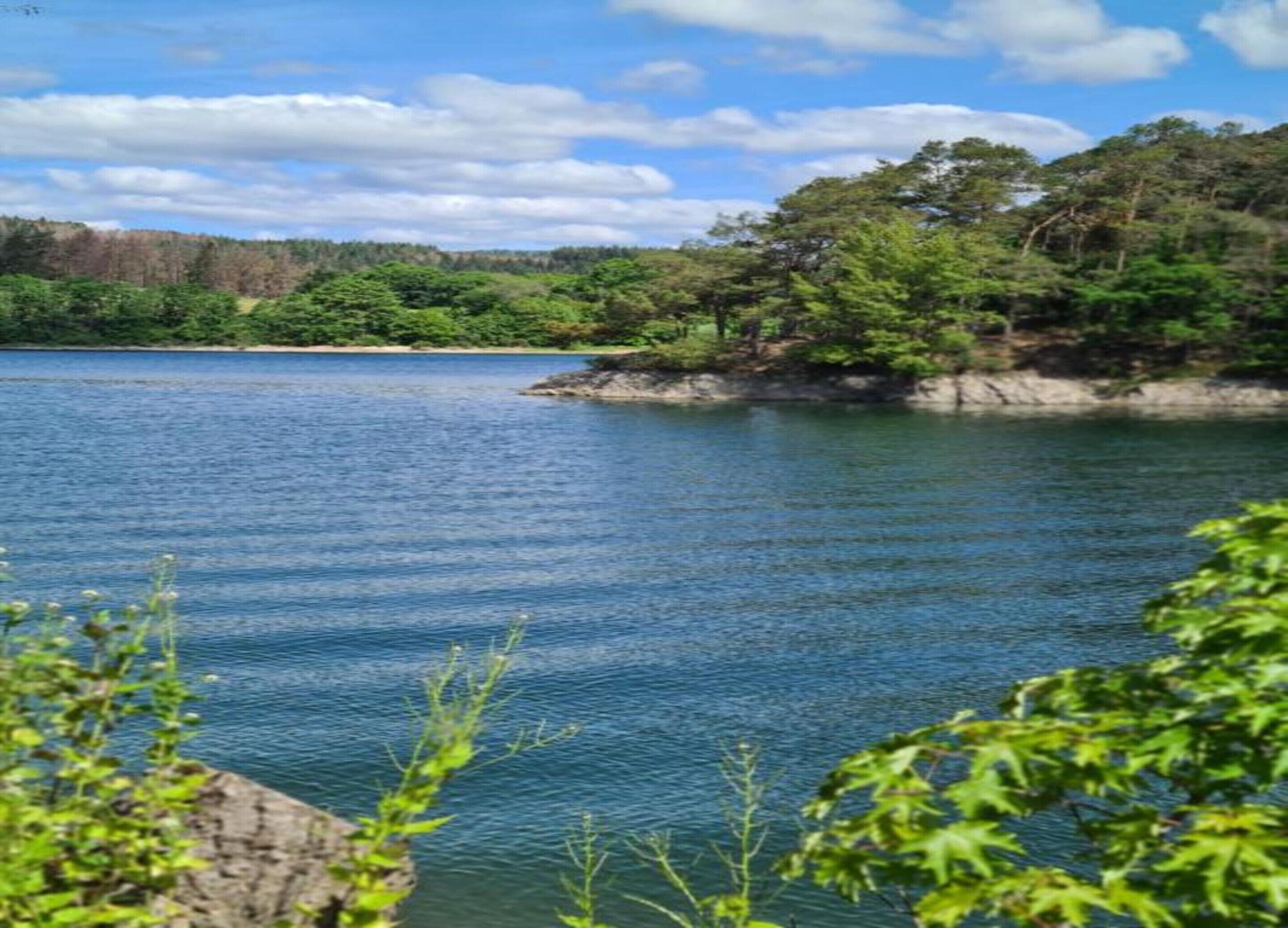 Un lac paisible, entouré d’une végétation luxuriante et d’arbres.