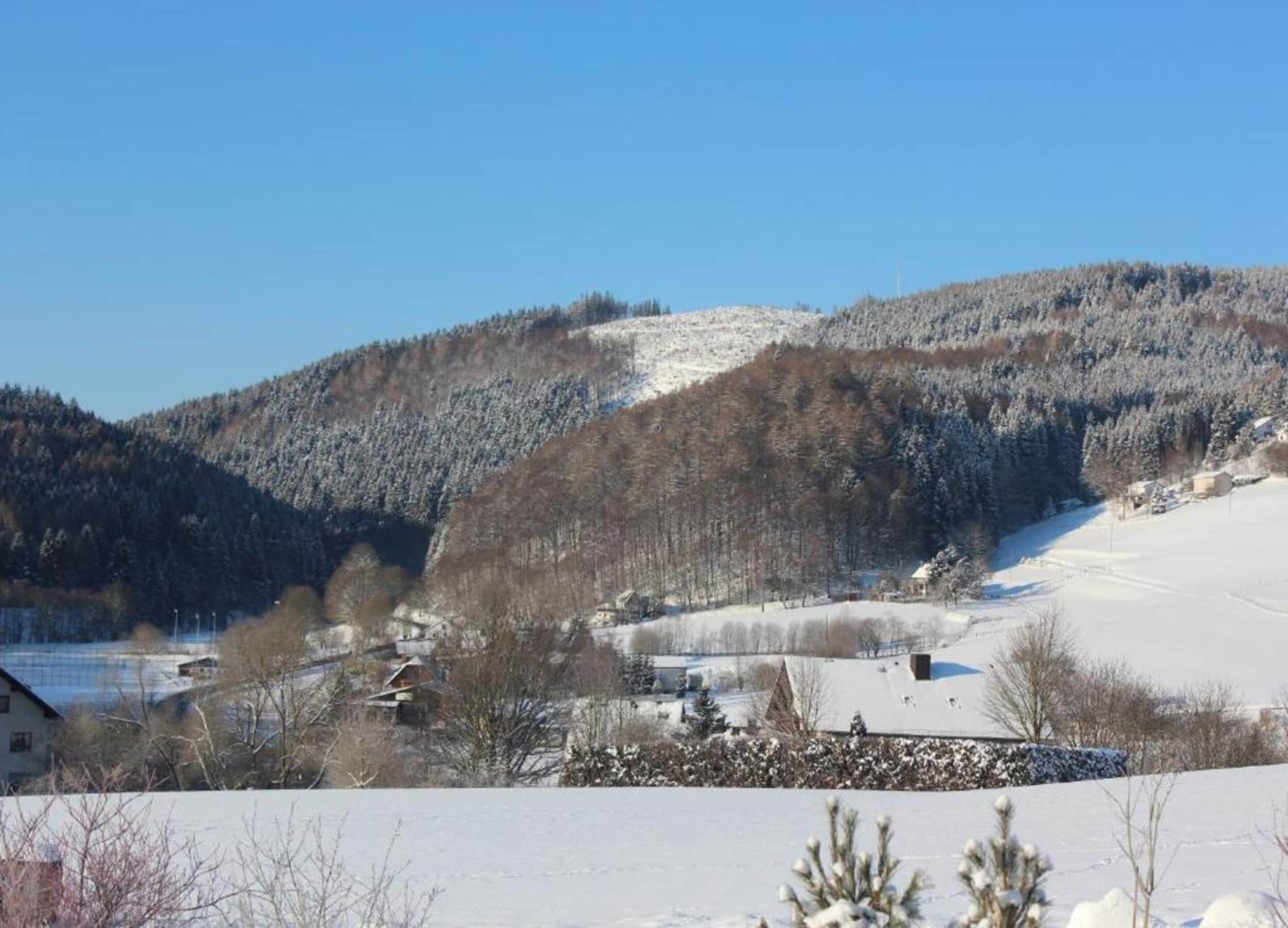 A snowy landscape with a house in the foreground and a forested hill in the background.