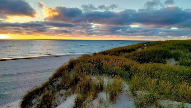 Ein Strand mit Dünen und Blick auf den Ozean.