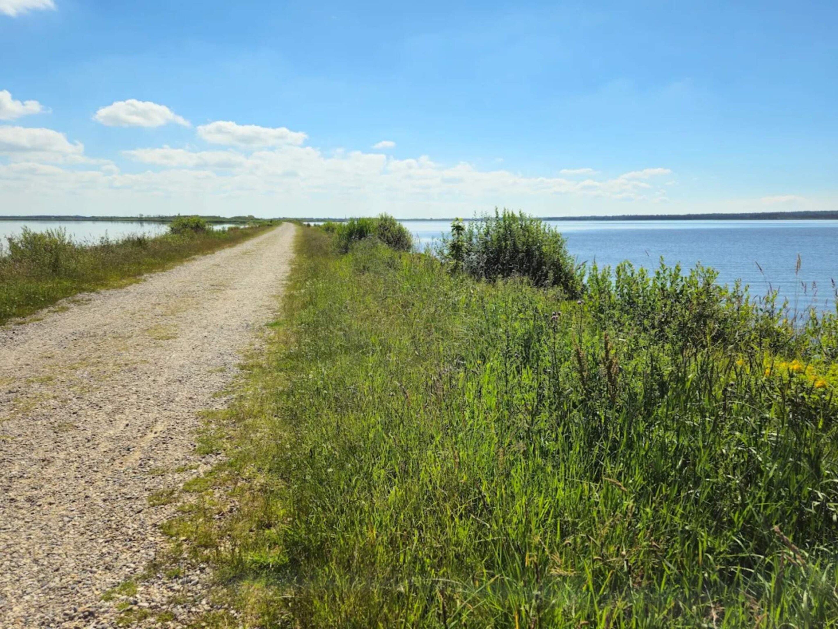 A gravel path leading to a body of water with grassy banks and a clear sky.