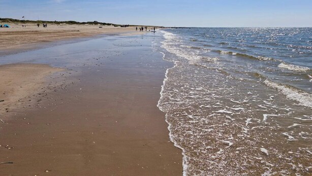 Une plage avec un rivage sablonneux, des vagues douces et un ciel dégagé.