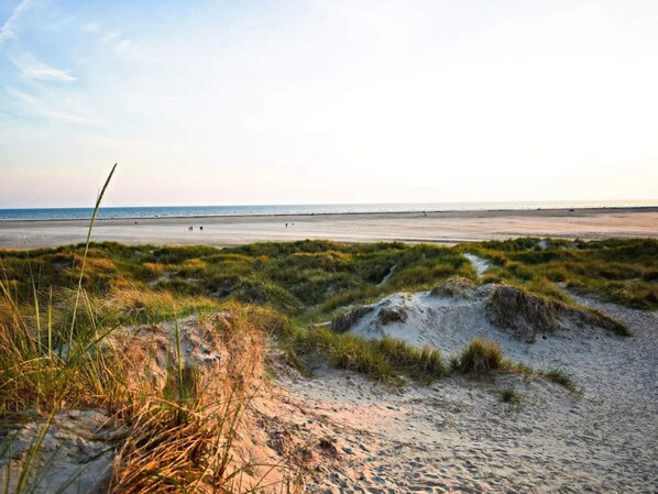 A beach with sand dunes and sparse vegetation.