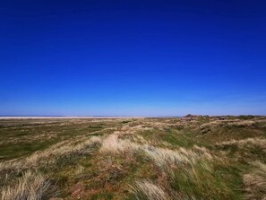 A flat, open landscape with sparse grass and dunes under a clear blue sky.