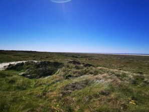 A vast, open landscape with a clear sky and distant horizon.