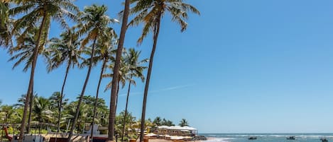 Chalet | Pantai | Di pantai, pasir putih