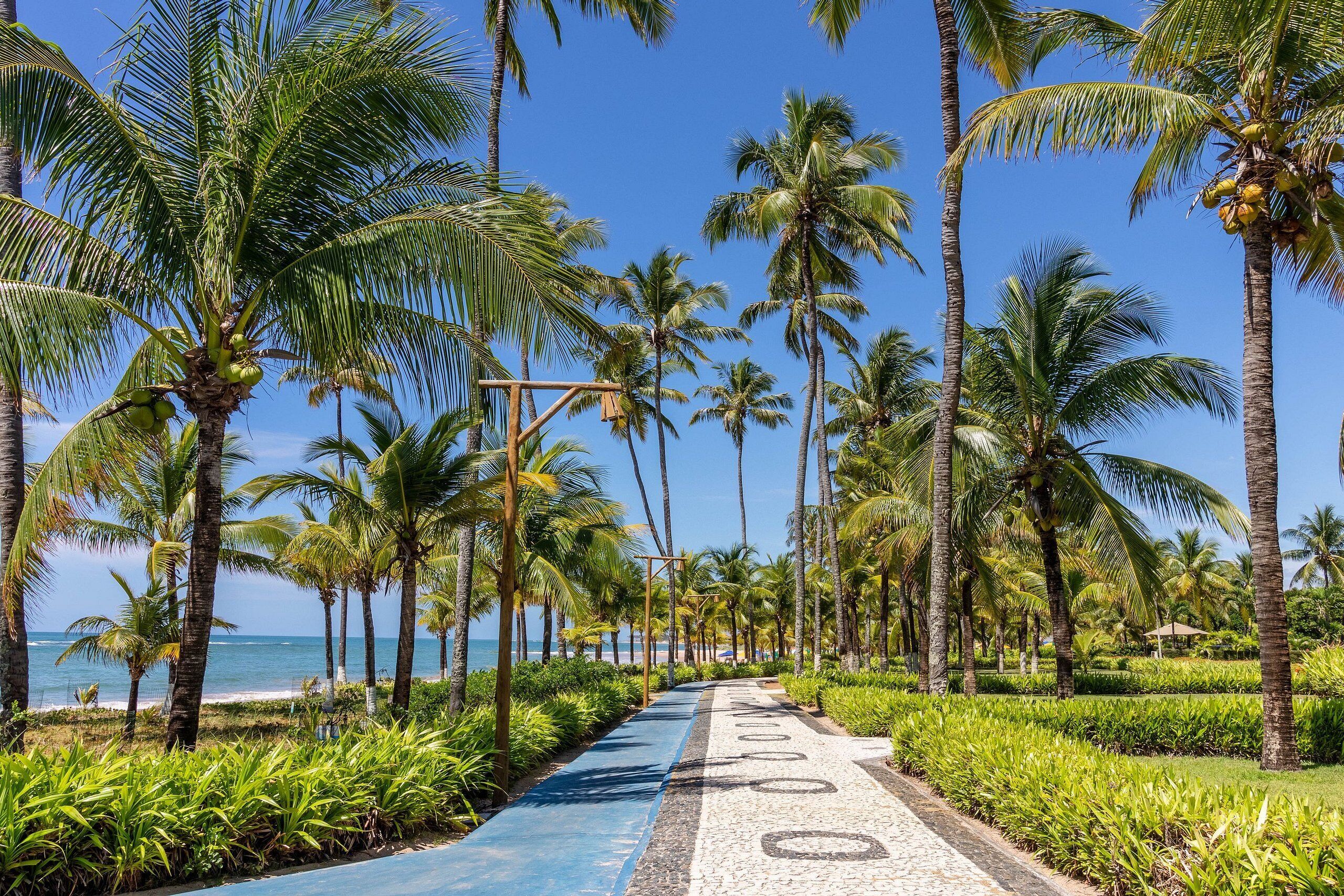 Chalet | Beach | On the beach, white sand
