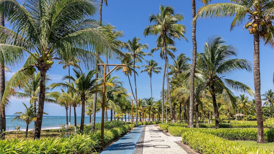 GB19 Casa 7 Quartos a 50m da Praia