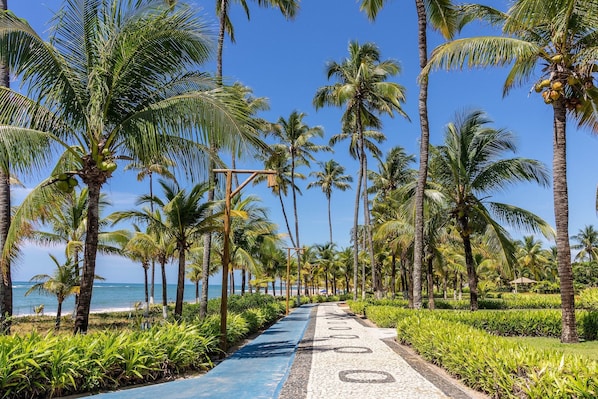 Chalet | Beach | On the beach, white sand - GB19 Casa 7 Quartos a 50m da Praia (Camaçari)