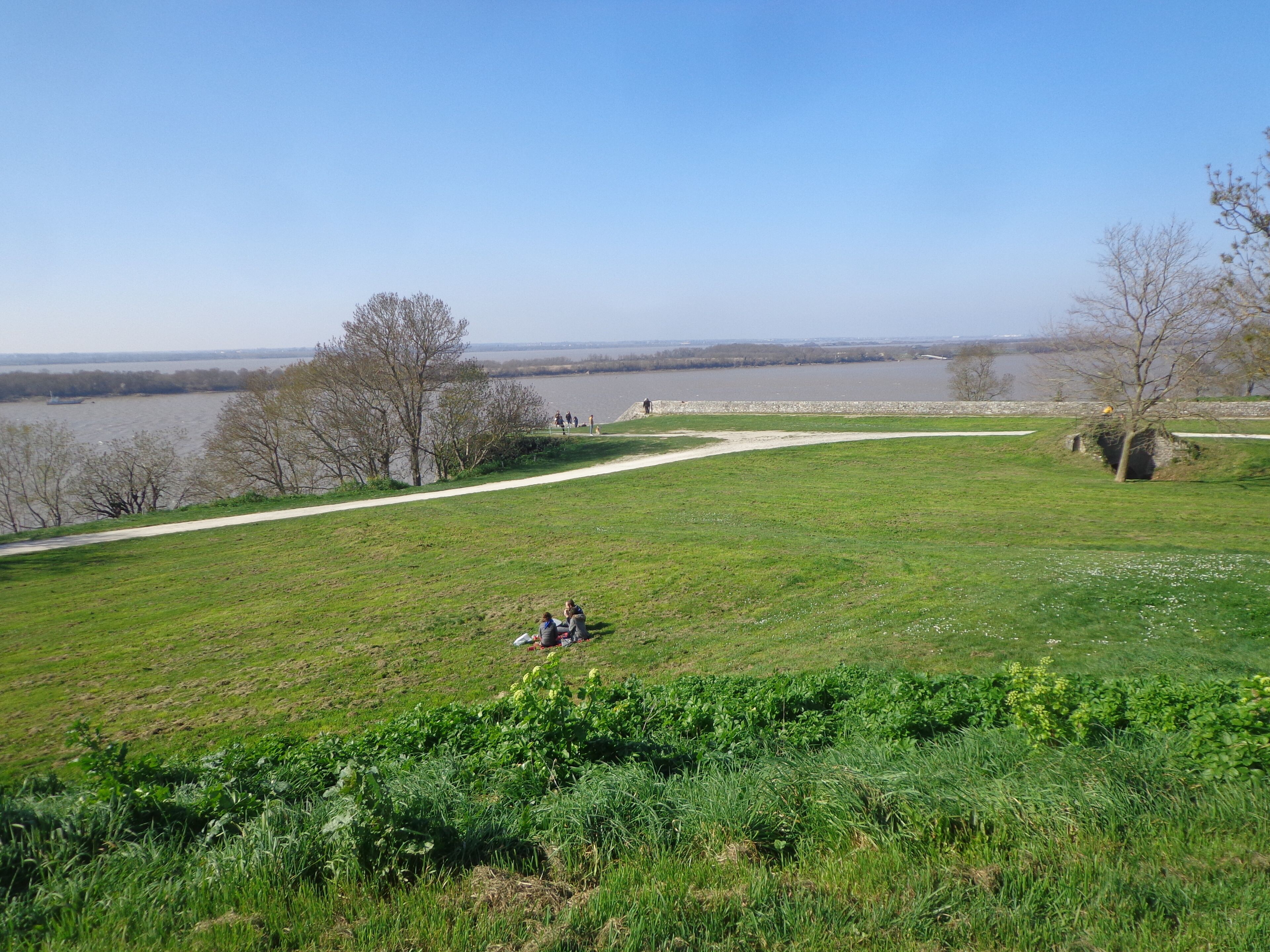 Un parc verdoyant avec un sentier pédestre et une étendue d’eau en arrière-plan.