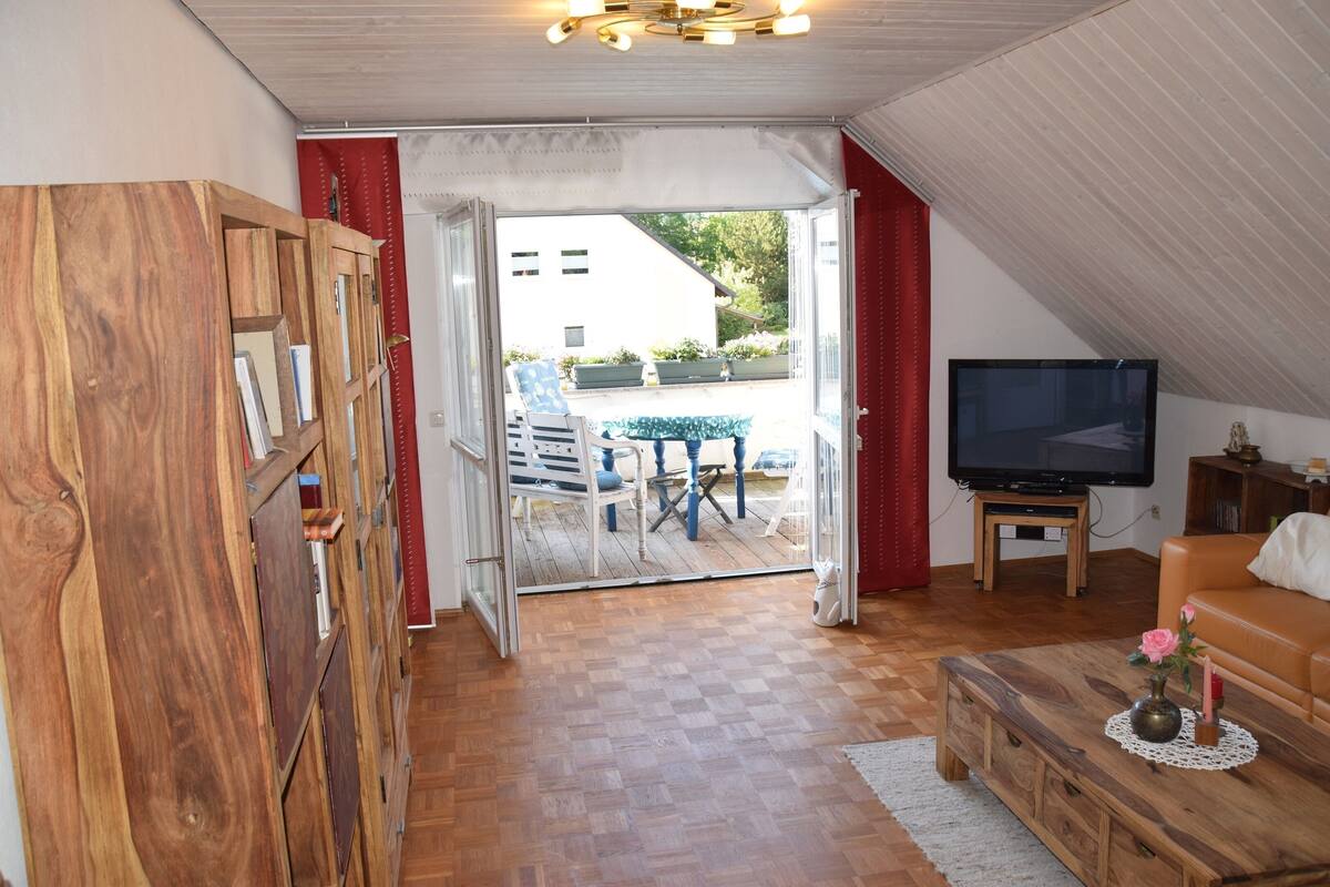 Apartment, Balcony | Living area | 20-inch flat-screen TV with satellite channels, TV