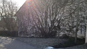 A paved driveway leading to a building with a stone facade and bare trees. - Ferienwohnung Heigemeir (Ehekirchen)