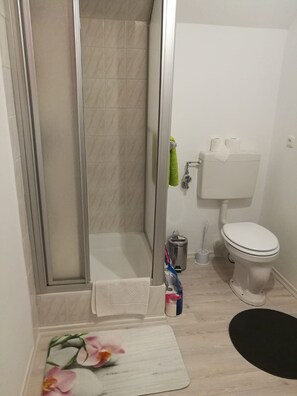 Apartment | Badezimmer | Dusche, Haartrockner, Handtücher