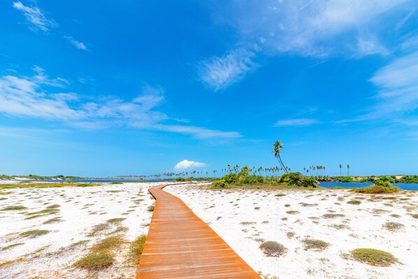 En la playa y playa de arena blanca 