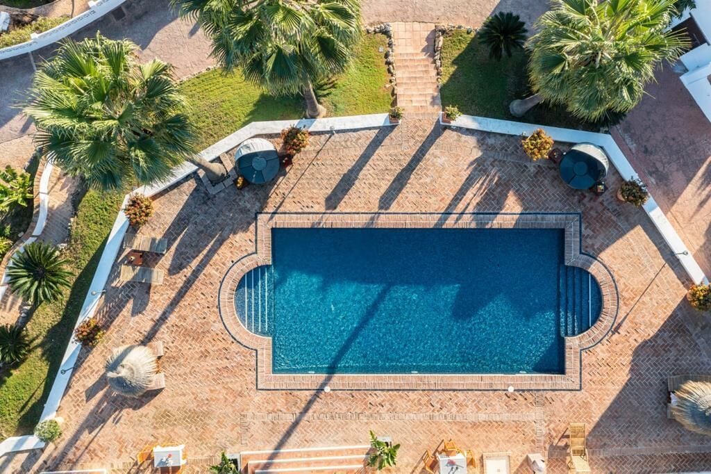 An aerial view of a swimming pool surrounded by palm trees and lounge chairs.