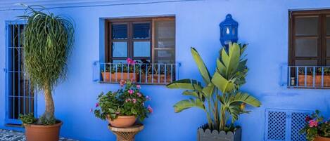 A blue building with potted plants and a small balcony.