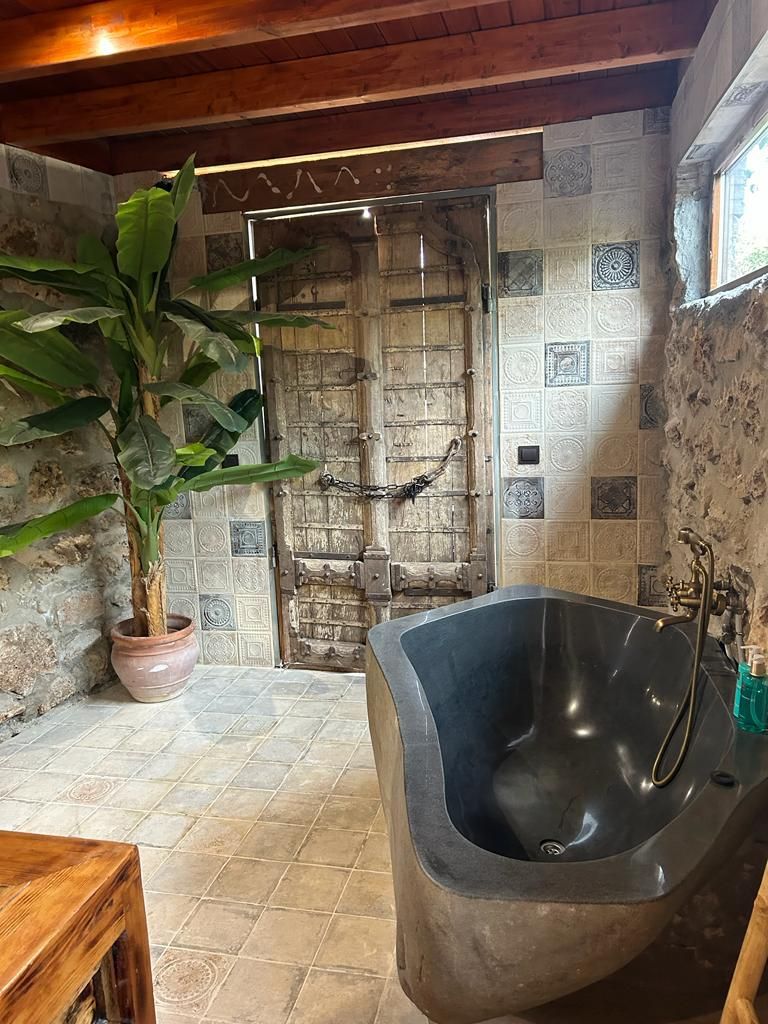 Een badkamer met een groot bad, een potplant en een landelijke deur.