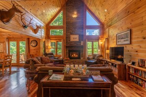 Televisión, chimenea, videojuegos y reproductor de DVD 