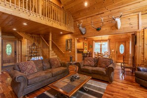 Televisión, chimenea, videojuegos y reproductor de DVD 