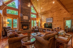 TV, fireplace, video games, DVD player