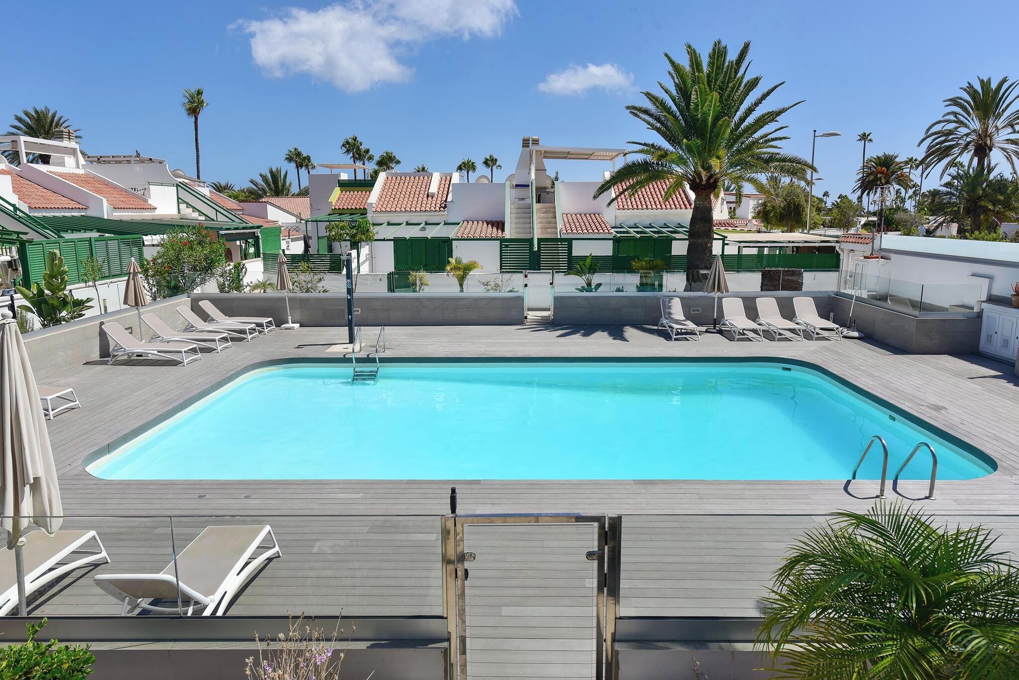 A rectangular swimming pool with a wooden deck, surrounded by lounge chairs and palm trees.