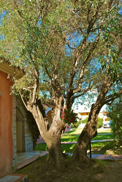 Appartamenti Vecchio Stazzo