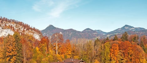 Esterni