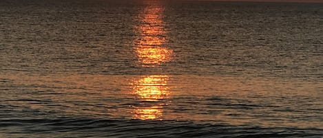 在海灘附近、躺椅