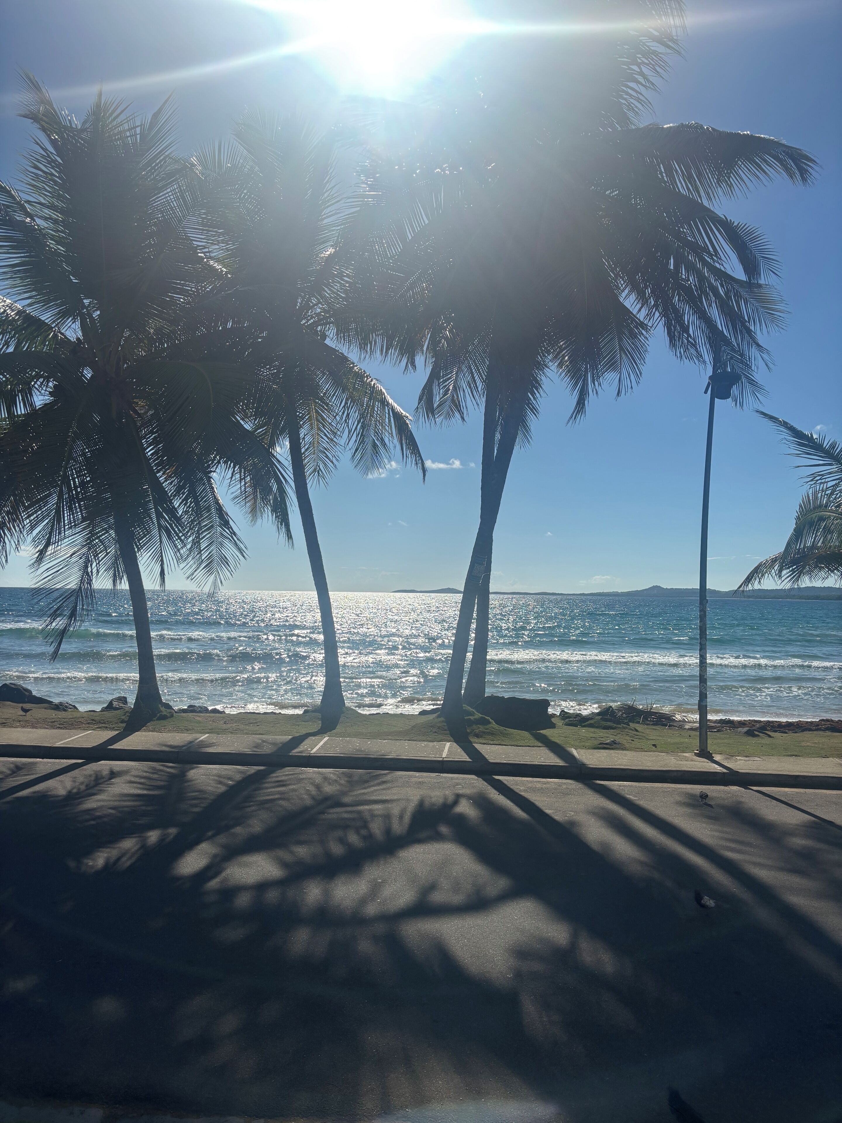 On the beach, sun loungers, beach towels