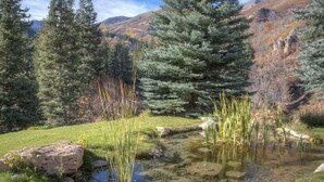 Eine natürliche Landschaft mit Teich, Bäumen und einer Bergkulisse.