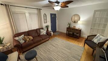 Tv, dvd-spelare och böcker