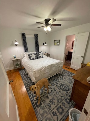 Camera da letto con un letto, una ventola a soffitto, un comodino, una lampada, un tappeto e un cane.