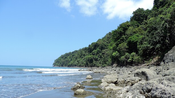 Una playa rocosa con olas, una ladera boscosa y cielos despejados.