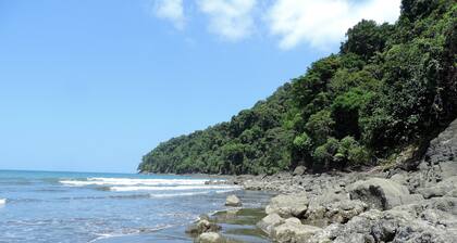 Majagua Magia del Pacífico