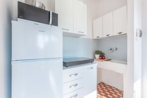Fridge, microwave, stovetop, electric kettle