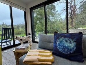 Smart TV, fireplace, books, video library