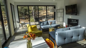 Smart TV, fireplace, books, video library