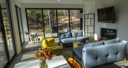 New Modern House in Sonoma Valley's Best Area