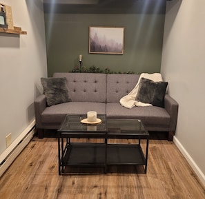 TV, streaming services - Cozy Basement Apartment (With Private Entrance) (Willmar)