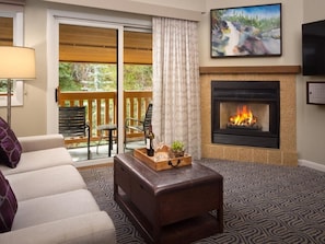 TV, fireplace, video games, DVD player
