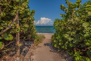En sti der fører til en strand, med frodig vegetation på begge sider.