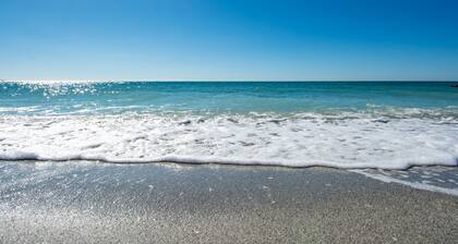 Tropical Oasis - Englewood Beach, FL.