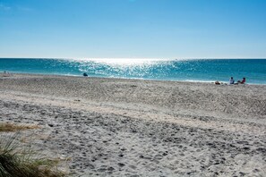 Plage à proximité, chaises longues, serviettes de plage